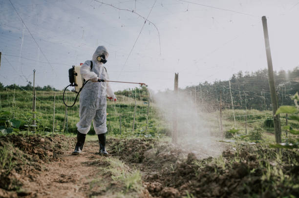 Best Pest Removal Services  in Freeburg, IL