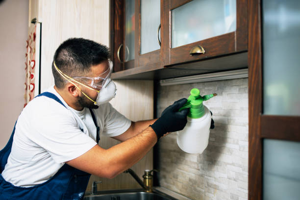 Best Local Pest Control Services  in Freeburg, IL