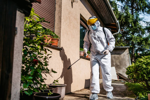Insect Control in Freeburg, IL