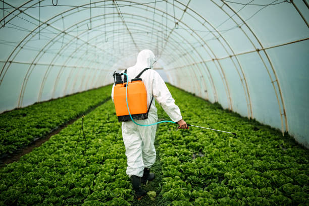 Best Pest Control Treatment  in Freeburg, IL