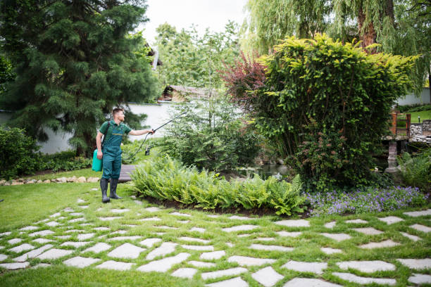 Best Local Pest Control Services  in Freeburg, IL