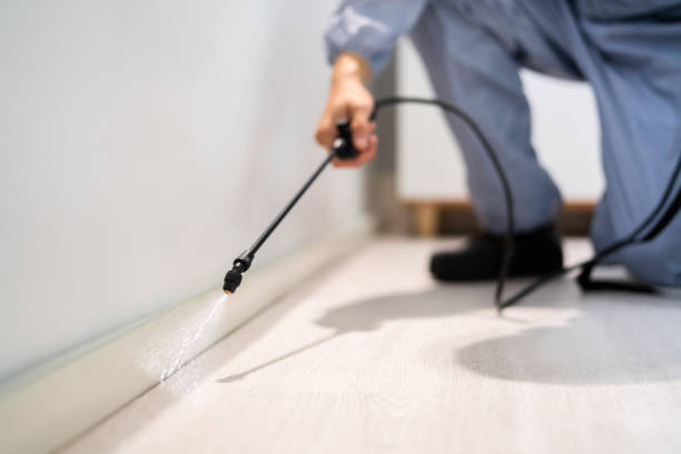 Best Pest Prevention Services  in Freeburg, IL