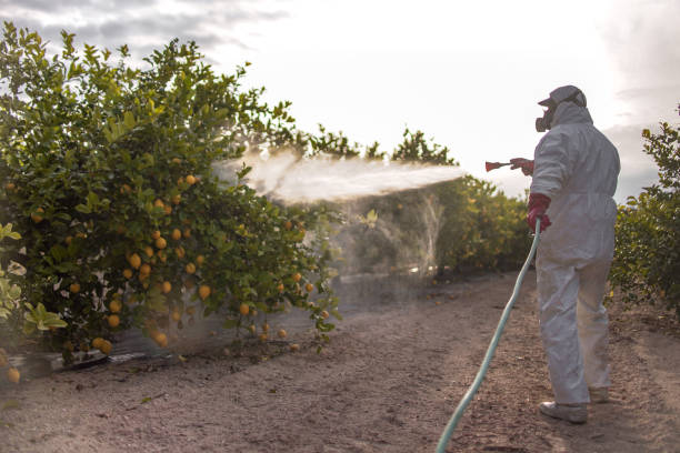 Professional Pest Control in Freeburg, IL