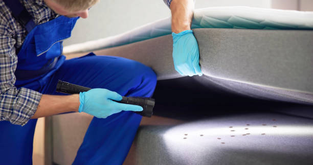 Best Pest Control Near Me  in Freeburg, IL