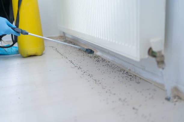 Best Pest Inspection Near Me  in Freeburg, IL