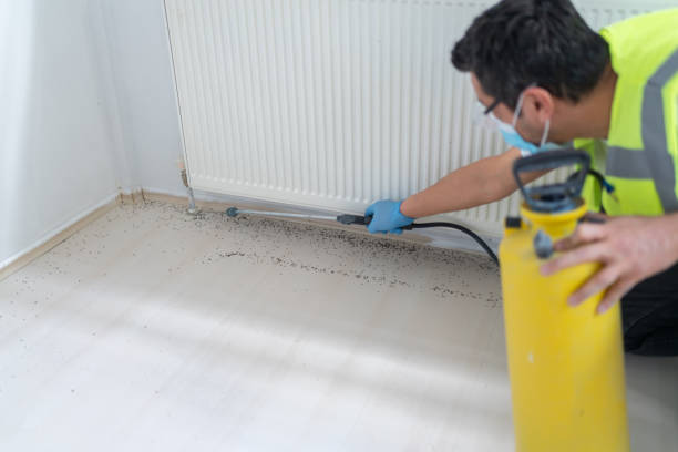 Best Mosquito Control Services  in Freeburg, IL
