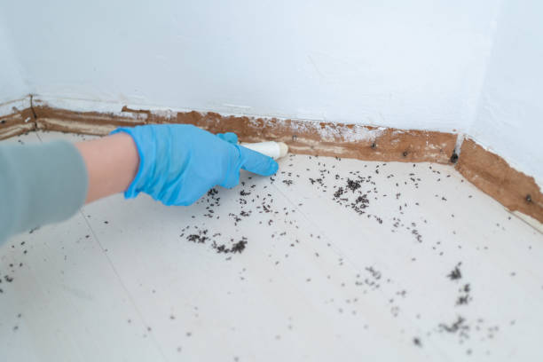 Pest Control Cost in Freeburg, IL
