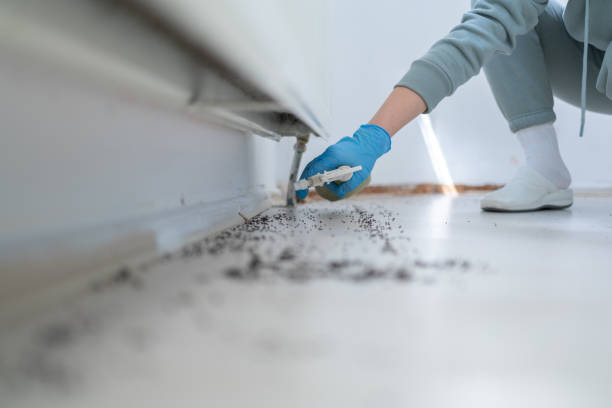 Best Wildlife Control Services  in Freeburg, IL